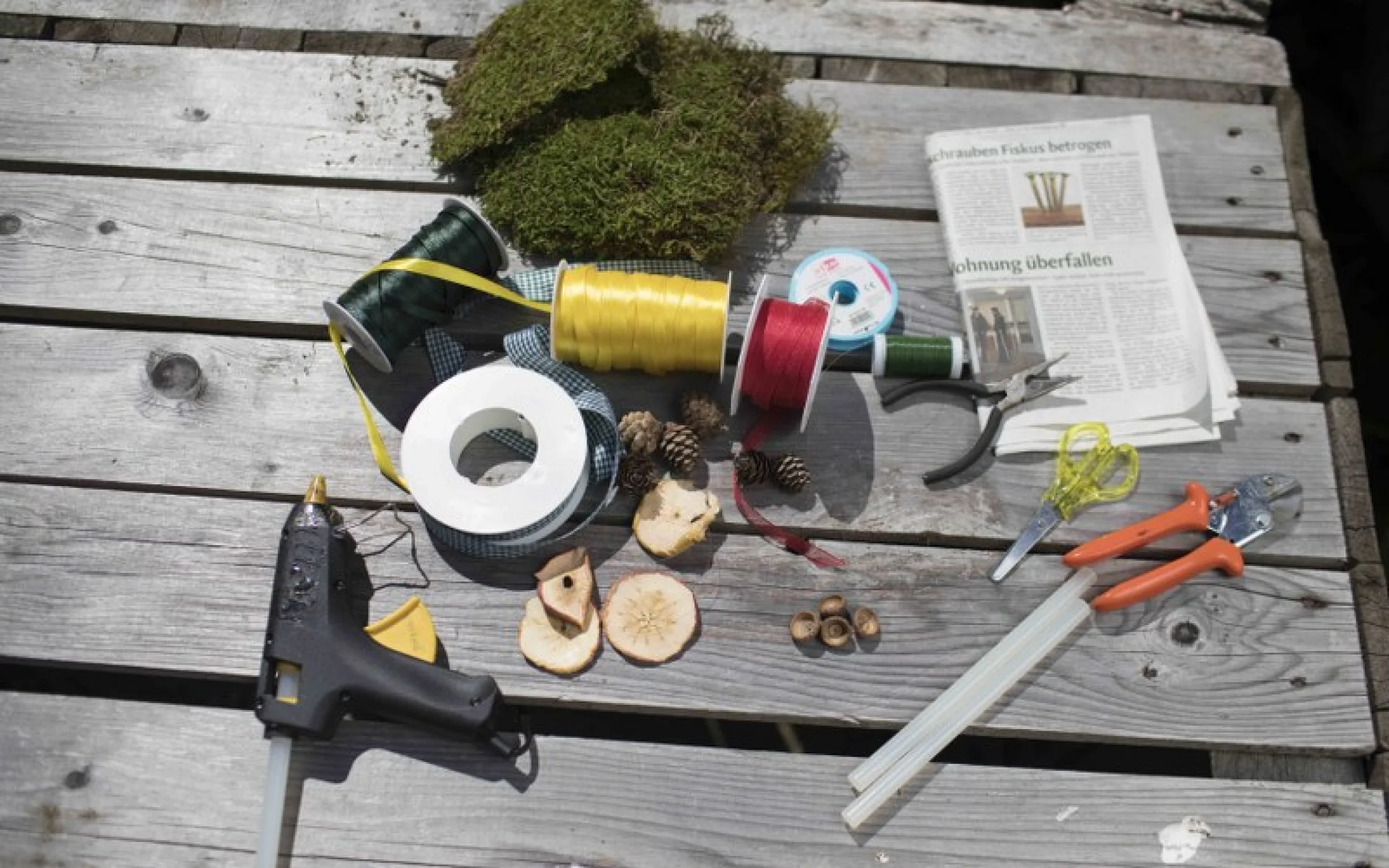 Bild1 Eichelkugel_JohannaLarcherarminhuber_2017 17_800x533.jpg